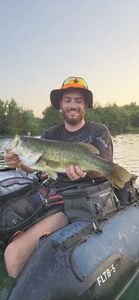 Largemouth Bass