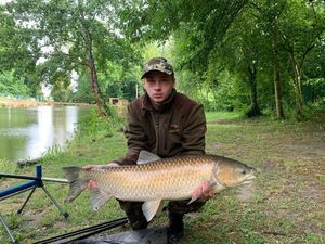 Grass Carp