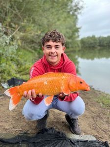 Koï Fish