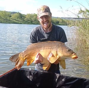 Mirror Carp