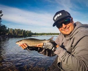 Grayling
