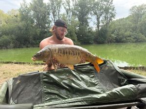 Mirror Carp