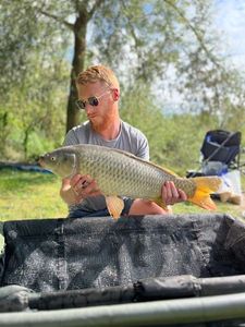 Grass Carp