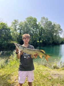Northern Pike