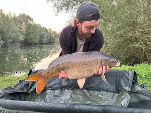 Common Carp