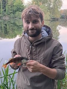 European Perch