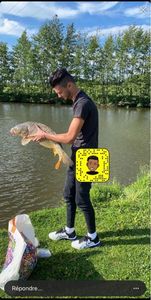 Mirror Carp