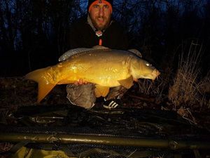 Mirror Carp