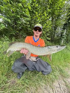 Northern Pike