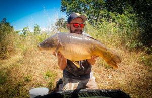 Mirror Carp