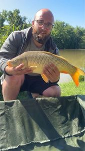 Common Carp