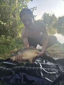 Mirror Carp