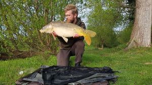 Mirror Carp