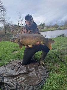 Mirror Carp