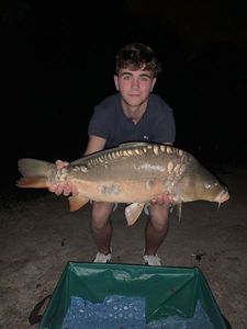 Mirror Carp