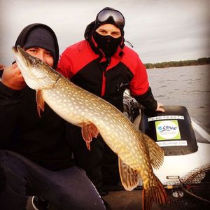 Northern Pike