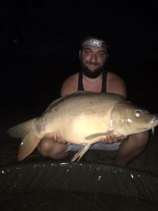 Mirror Carp