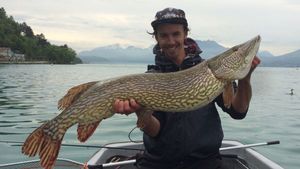 Northern Pike