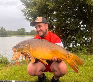 Mirror Carp