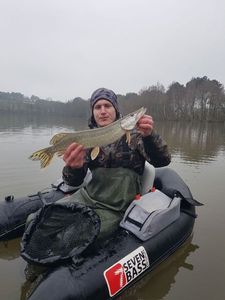 Northern Pike