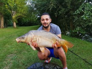 Mirror Carp