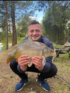 Mirror Carp