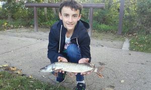 Northern Pike