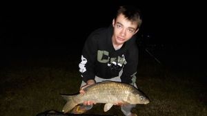 Common Carp