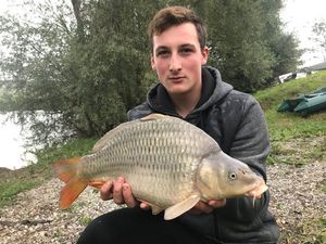 Common Carp