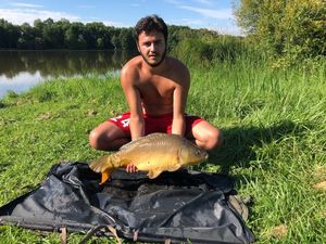 Mirror Carp