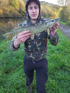 Northern Pike