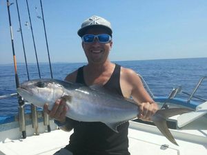 Greater Amberjack