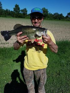 Largemouth Bass