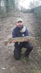 Northern Pike