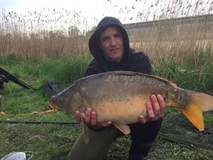 Mirror Carp