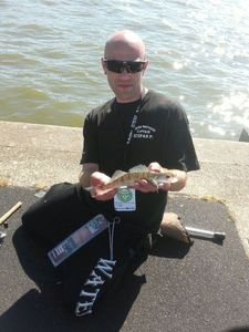 Zander