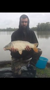 Mirror Carp