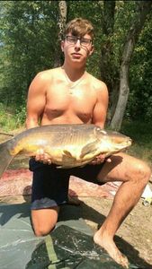 Mirror Carp