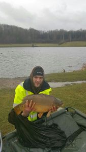Mirror Carp