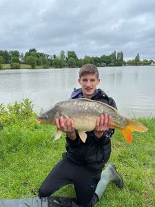 Common Carp