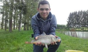 Mirror Carp