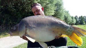 Mirror Carp