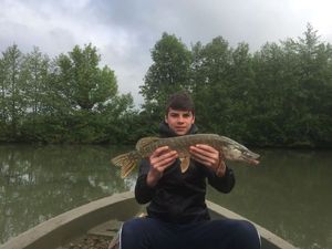 Northern Pike