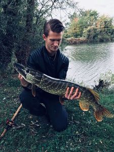 Northern Pike