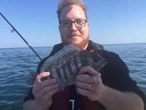 Black Seabream