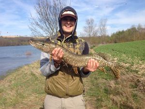 Northern Pike
