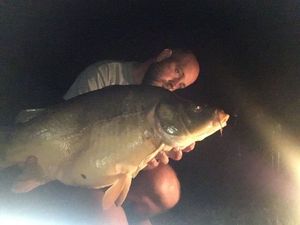 Mirror Carp