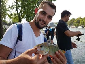 European Perch