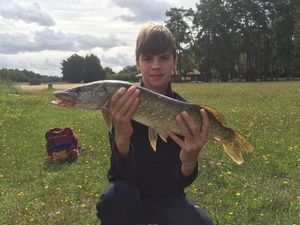 Northern Pike