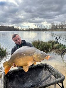 Mirror Carp